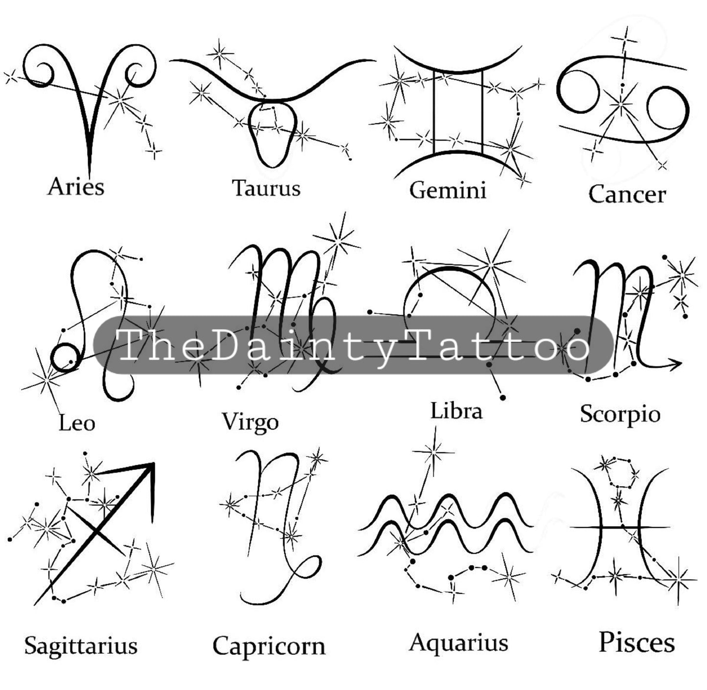 Flash Zodiac Signs and Constellation